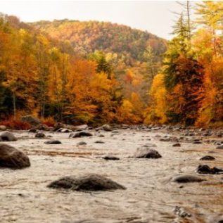 A fall scene of an Adirondack Stream